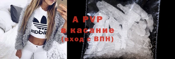 амф Новозыбков