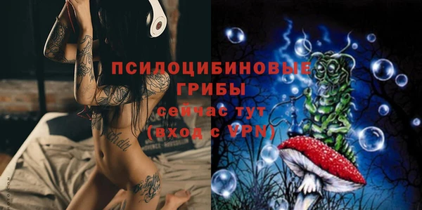гашик Алексеевка