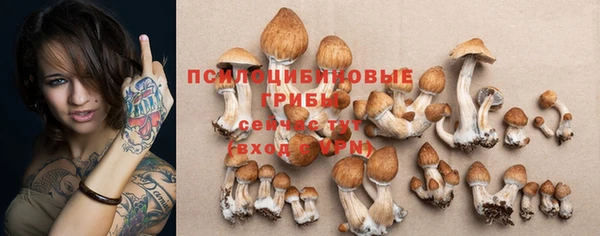 apvp Алексин