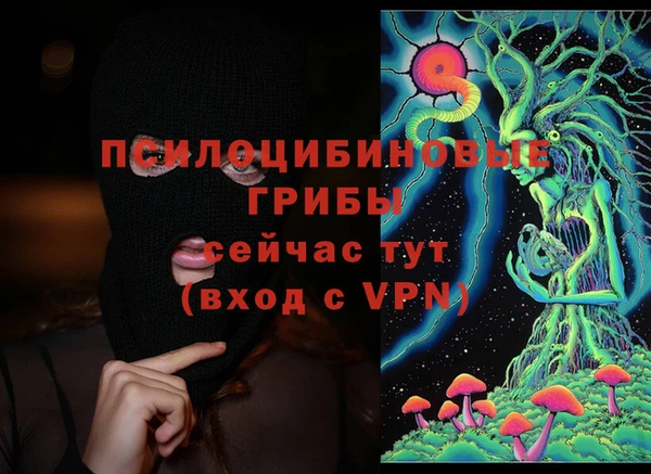 apvp Алексин