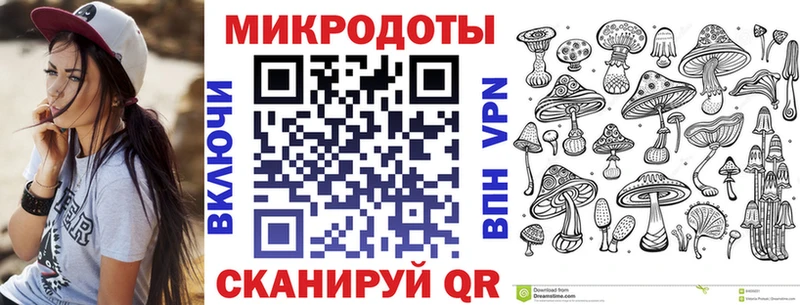 Псилоцибиновые грибы мицелий  Терек 